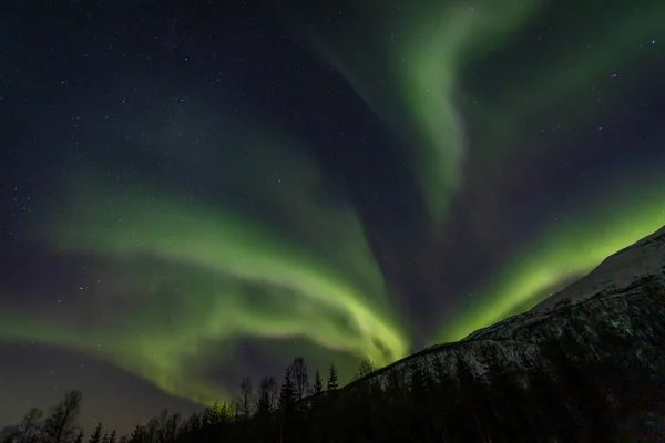Feixe Aurora Borealis Sobre Lakselvbukt Noruega Norte — Fotografia de Stock