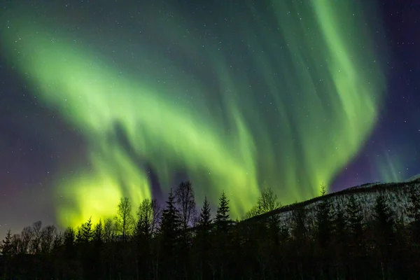 Krajobraz Aurorą Borealis Nad Lakselvbukt Norwegia Północna — Zdjęcie stockowe