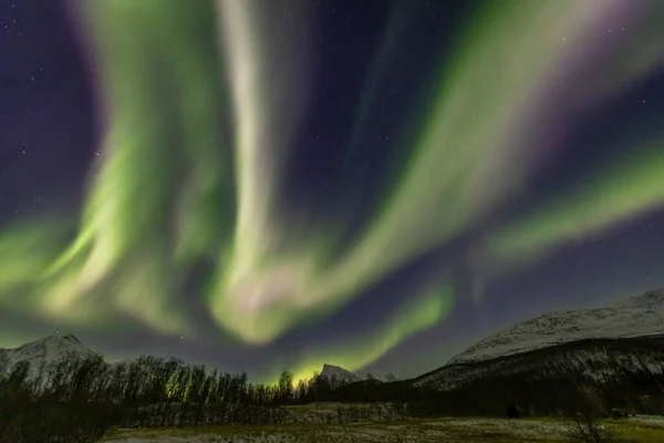 Landschap Met Aurora Borealis Boven Lakselvbukt Noord Noorwegen — Stockfoto