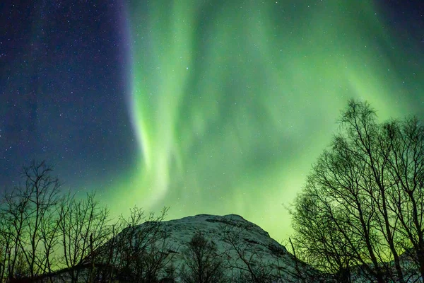 Krajina Aurorou Borealis Nad Lakselvbukt Severní Norsko — Stock fotografie