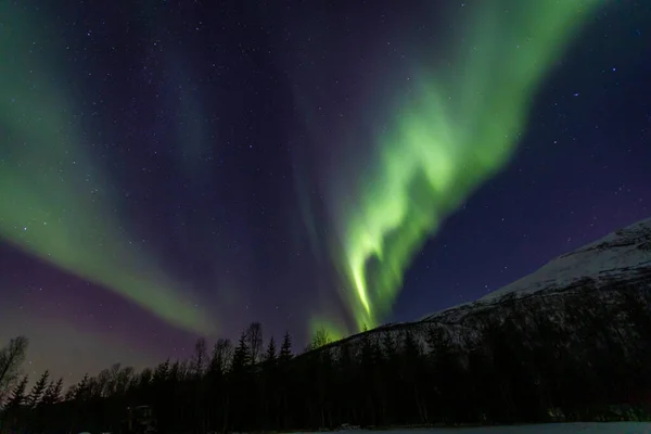 Krajina Aurorou Borealis Nad Lakselvbukt Severní Norsko — Stock fotografie