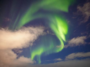Kuzey Norveç, Tromso üzerinde Aurora Borealis