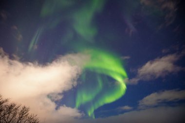 Kuzey Norveç, Tromso üzerinde Aurora Borealis