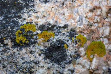 Norveç Denizi 'ndeki Alesund limanında meyan kökü taşları