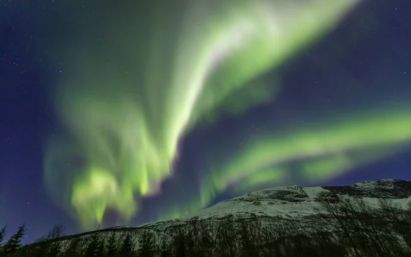 Krajina Aurorou Borealis Nad Lakselvbukt Severní Norsko — Stock fotografie