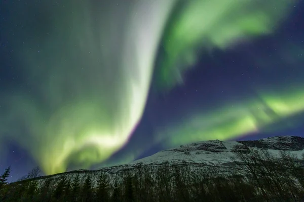 Krajina Aurorou Borealis Nad Lakselvbukt Severní Norsko — Stock fotografie