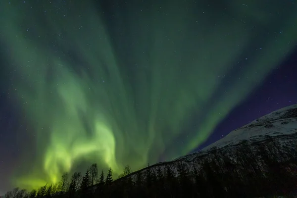 Kuzey Norveç Lakselvbukt Üzerinde Aurora Borealis Ile Manzara — Stok fotoğraf