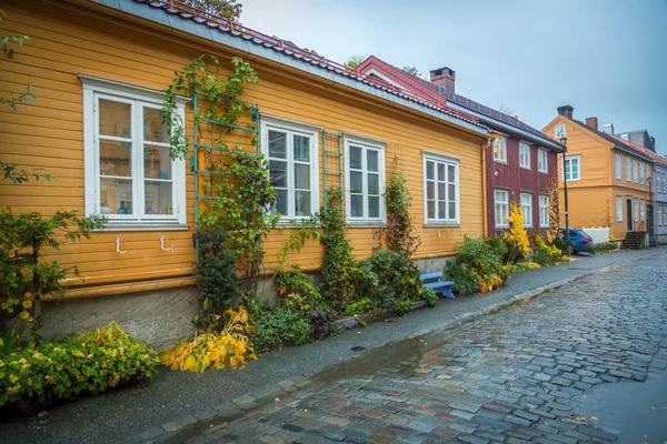 Case Colorate Sul Fiume Nidelva Trondheim Nel Fiordo Trondheim — Foto Stock