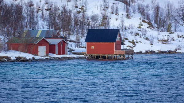 Σπίτια Κατά Μήκος Της Ακτής Κοντά Στο Finnsnes Στη Βόρεια — Φωτογραφία Αρχείου