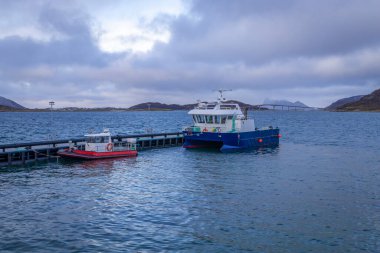 Kuzey Norveç 'te Brensholmen' de küçük bir liman