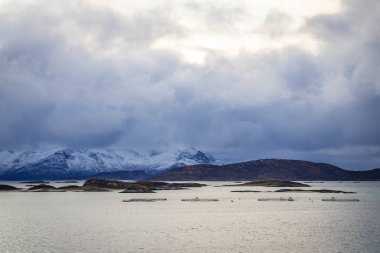 Hillesoy, Norveç 'in eski Troms eyaletinde yer alan bir belediyedir.