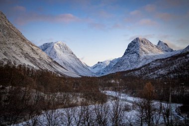 Lakselvbukt boyunca Jvik 'e gidiyorum.