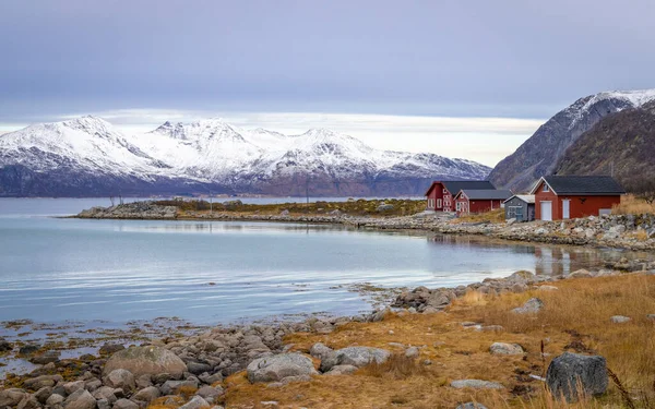 Beau Paysage Nord Norvège — Photo