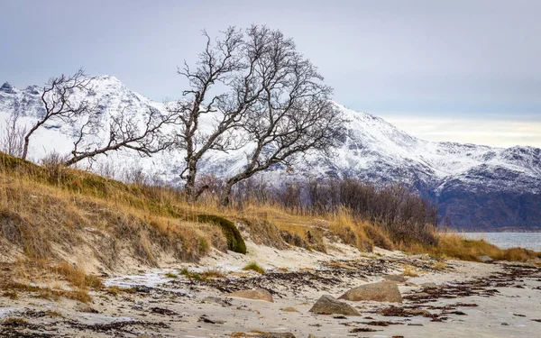 Piękny Krajobraz Północny Norwegii — Zdjęcie stockowe
