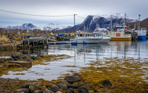 Pequeño Puerto Pesquero Pueblo Tromvik Kvaloya Norte Noruega —  Fotos de Stock
