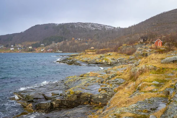 Rystraumen Tenger Partján Észak Norvégia — Stock Fotó