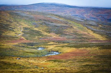 Norveç 'in güzel kuzey manzarası
