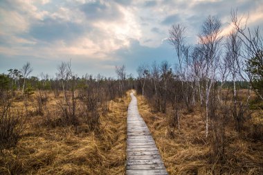 Avusturya 'nın İbmer Mağribi, Oberosterreich bölgesindeki ahşap yol.