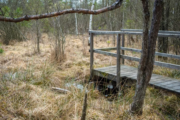 Träväg Det Lokala Strövområdet Ibmer Moor Oberosterreich Österrike — Stockfoto