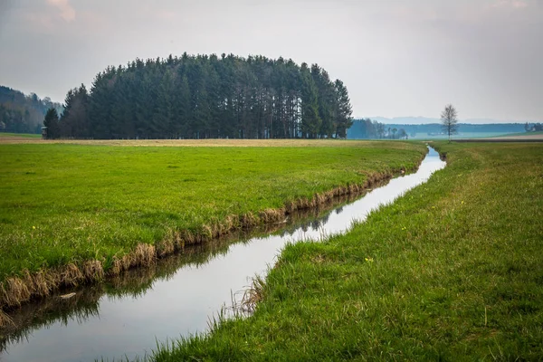 Ruscello Acqua Una Bella Natura — Foto Stock