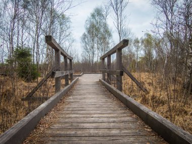Weidmoos, Salzburg, Avusturya Vogelparadies 'de güzel bir dinlenme yeri.