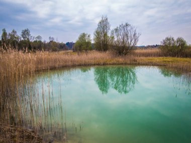 Weidmoos, Salzburg, Avusturya Vogelparadies 'de güzel bir dinlenme yeri.