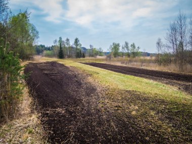 Weidmoos, Salzburg, Avusturya Vogelparadies 'de güzel bir dinlenme yeri.