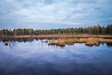 Weidmoos, Salzburg, Avusturya Vogelparadies 'de güzel bir dinlenme yeri.