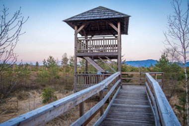 Wenger Mağribi 'ndeki gözlem kulesi Wallersee, Salzburg, Avusturya