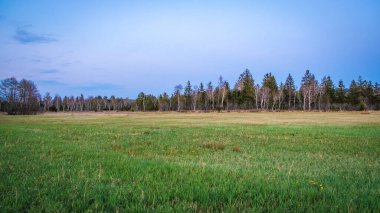 Wenger Moos 'un güzel doğası Wallersee, Salzburg, Avusturya