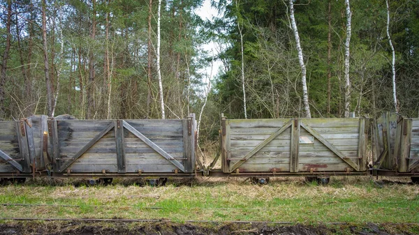 Stare Drewniane Wagony Towarowe Usuwania Torfu Vogelparadies Weidmoos Salzburg Austria — Zdjęcie stockowe