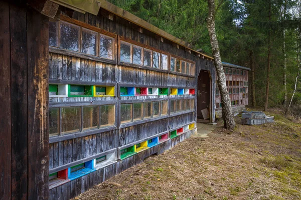 Ule Vogelparadies Weidmoos Salzburg Austria — Zdjęcie stockowe