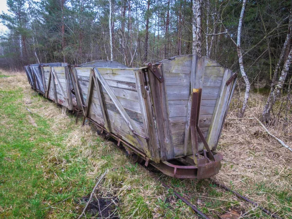 Gamla Godsvagnar Trä För Avlägsnande Torv Vid Vogelparadies Weidmoos Salzburg — Stockfoto