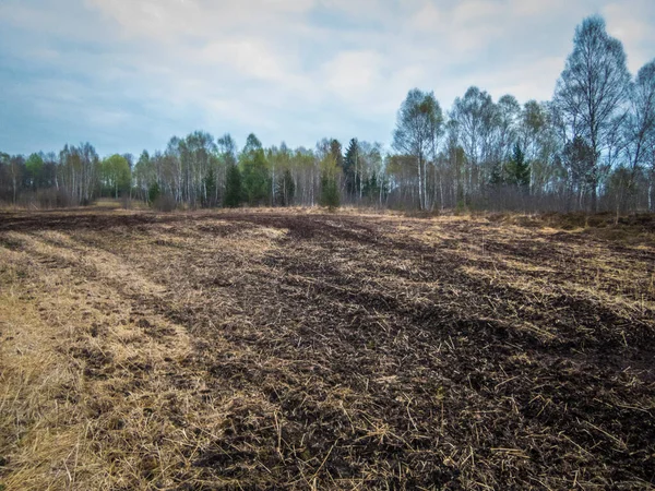 Прекрасна Місцева Зона Відпочинку Фогельпарадіс Вейдмос Зальцбург Австрія — стокове фото