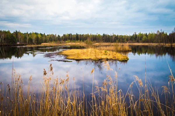 Weidmoos, Salzburg, Avusturya Vogelparadies 'de güzel bir dinlenme yeri.