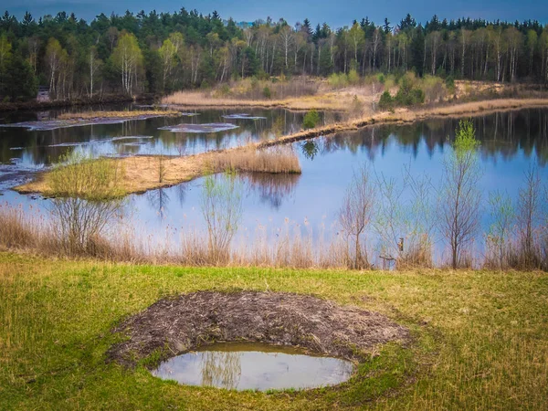 Schönes Naherholungsgebiet Vogelparadies Weidmoos Salzburg Österreich — Stockfoto