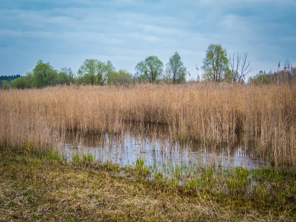 Belle Zone Loisirs Locale Vogelparadies Weidmoos Salzbourg Autriche — Photo