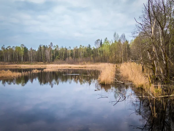 Bella Zona Ricreativa Locale Presso Vogelparadies Weidmoos Salisburgo Austria — Foto Stock