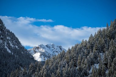 Avusturya, Tannheim 'da Dağ Leilachspitze