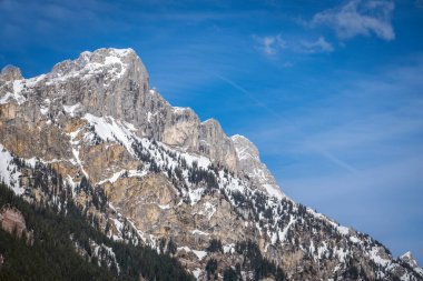 Tannheimer Tal 'da Dağ Gimpel, Tirol, Avusturya