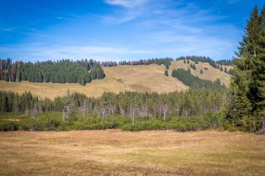 Avusturya, Hochhderich yakınlarındaki dağ manzarası