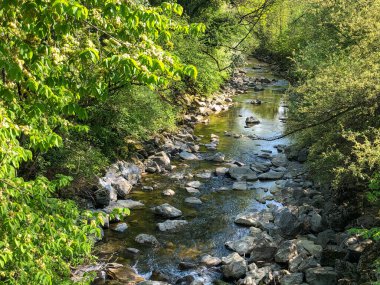 Avusturya 'da taşlı dağ nehri