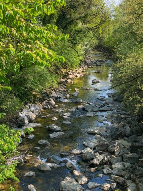 Avusturya 'da taşlı dağ nehri