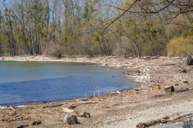 Vorarlberg, Avusturya 'daki Constance Gölü' nde yerel dinlenme alanı.