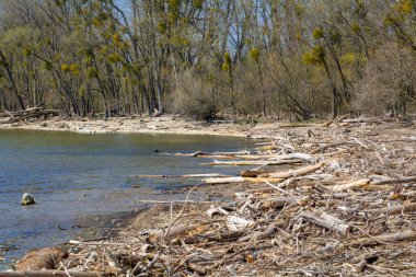 Vorarlberg, Avusturya 'daki Constance Gölü' nde yerel dinlenme alanı.