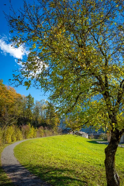 Bizauer Bach Landscape Austria — Stock Photo, Image
