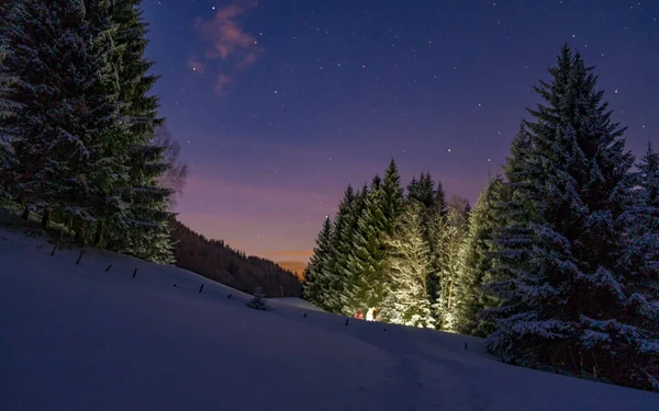 Promenade Raquettes Pendant Les Merveilles Hivernales Nuit Sur Tschengla Autriche — Photo