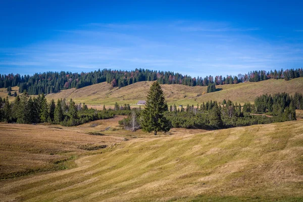 Paisagem Montanha Perto Hochhderich Áustria — Fotografia de Stock