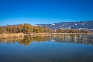 Alplerdeki Constance Gölü 'ndeki yansımalar