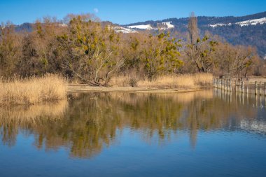 Alplerdeki Constance Gölü 'ndeki yansımalar